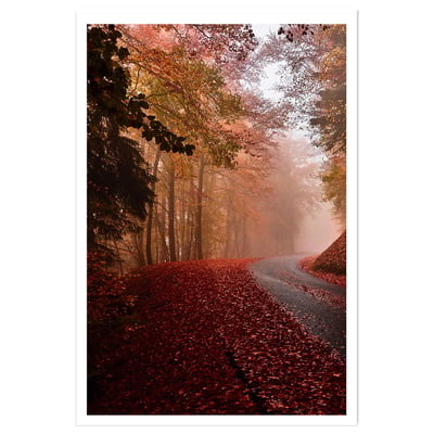 Affiche nature explosion automnale HEXOA