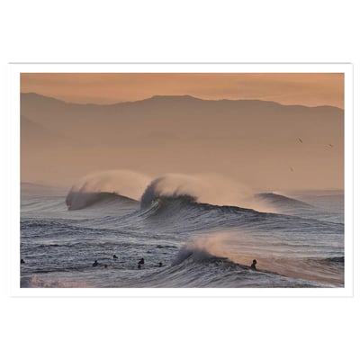 Affiche photo plage hossegor mouettes au pic HEXOA