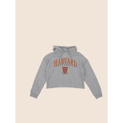 Sweat - Très bon état MANGO