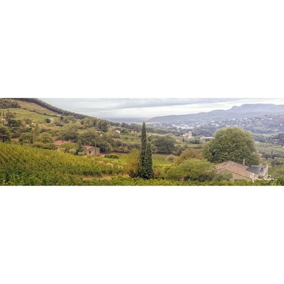 Tableau sur toile Cassis pluie 30x97 cm CEANOTHE