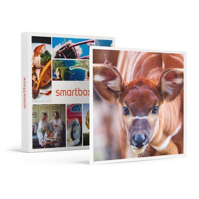 Journée d'expédition : entrée pour 2 adultes et 1 enfant au Safari de Peaugres près de Saint-Étienne - SMARTBOX - Coffret Cadeau Sport et Aventure SMARTBOX
