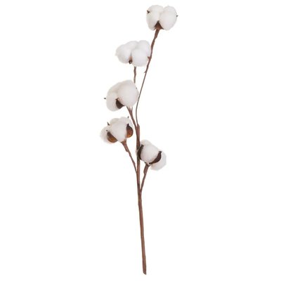 Branche de coton naturelle décorative 10x10x55cm WADIGA