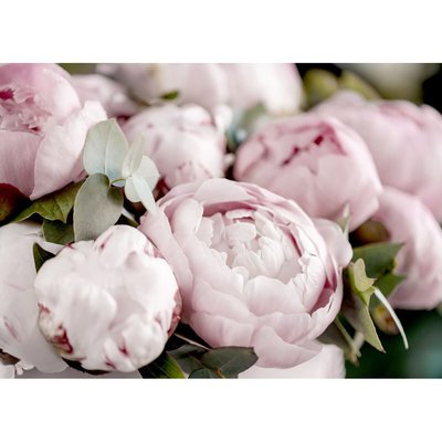 Tableau mural pivoine CEANOTHE