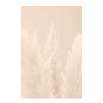 Affiche  scandi  de roseaux HEXOA