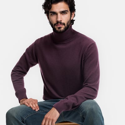 Cashmere Turtleneck Jumper LA REDOUTE COLLECTIONS