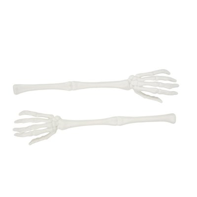 2 bras squelette Halloween PARTY PRO