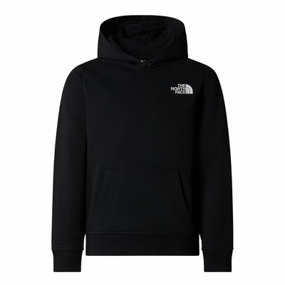 Hoodie THE NORTH FACE