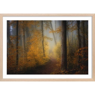 Affiche l'arbre et l'automne rouge HEXOA