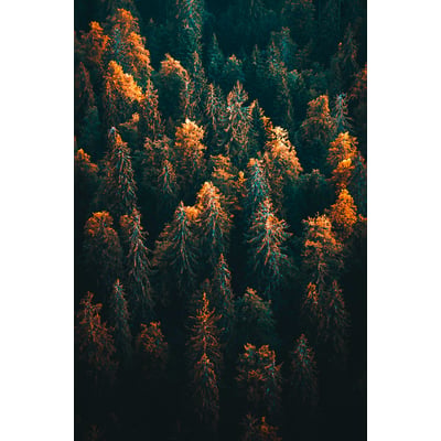 Tableau couleur d'automne en haute savoie HEXOA