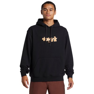 Sweat à capuche GRAPHIC QUIKSILVER