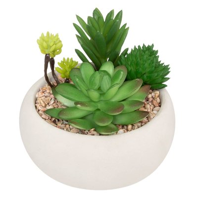 Plante grasse artificielle ATMOSPHERA