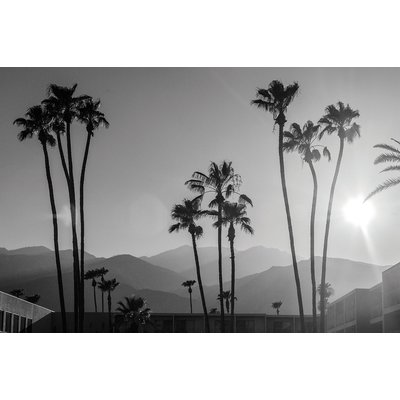 Tableau noir et blanc palmiers - palm springs HEXOA