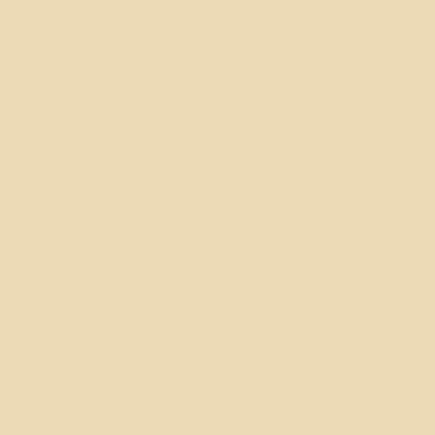 Active Emulsion Paint Pale Parchment SANDERSON