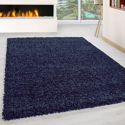 Tapis intérieur à poils longs OTTAWA NAZAR RUGS