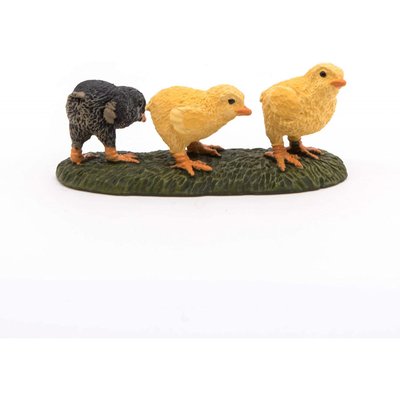 Poussins PAPO