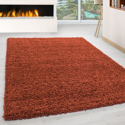 Tapis intérieur à poils longs OTTAWA NAZAR RUGS