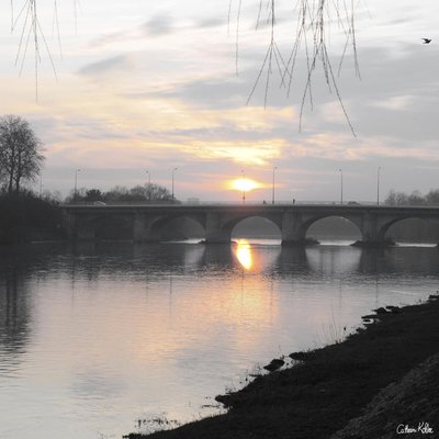Tableau mural les bords du Cher CEANOTHE