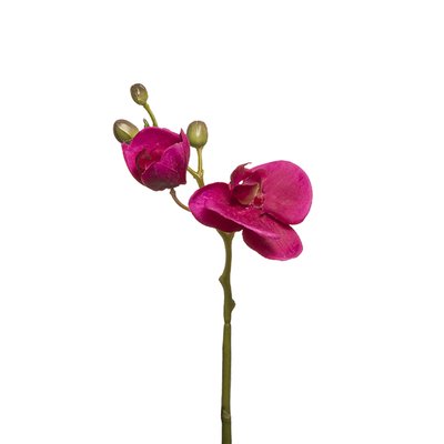 Tige d'orchidée phalaenopsis artificielle H21 SIA DECO