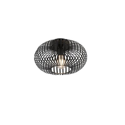 Lampe de plafond Johann 30 cm TRIO