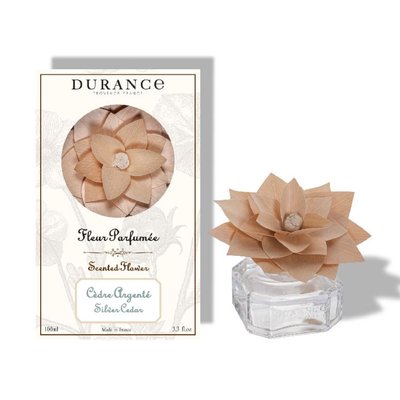Fleur parfumée CÈDRE ARGENTÉ DURANCE