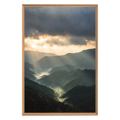 Tableau Mural Encadré Vue De La Nature MONTAGNE CEANOTHE