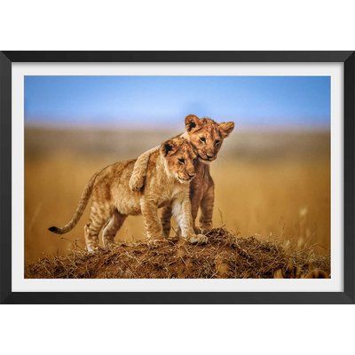 Affiche animaux brothers for the life HEXOA