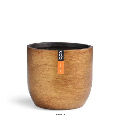 Joli pot rétro forme eggpot doré en matières synthétiques H 34 x D 34 cm Doré ARTIFICIELLES