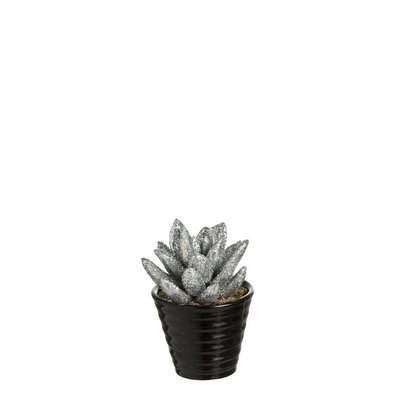 Succulente artificielle pachyphytum pailletée en pot H15 SIA DECO