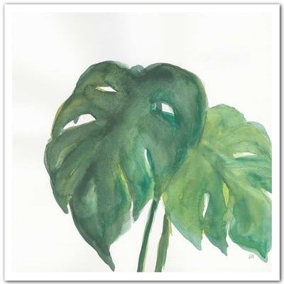 Affiche Plante monstera watercolor HEXOA