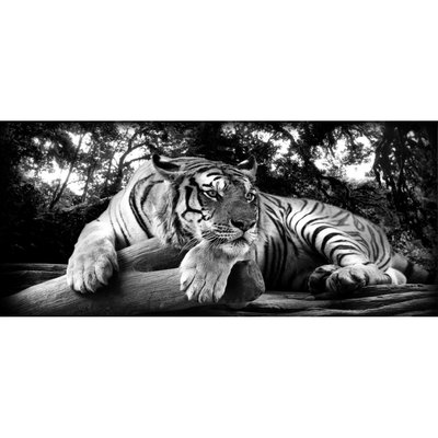 Tableau Sur Verre Synthétique Tigre À L'affût ANIMAUX CEANOTHE