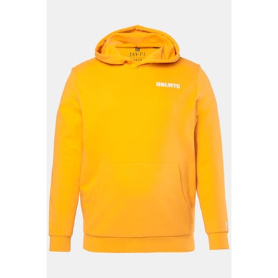 Sweat-shirt à capuche, collection Fitness JP1880