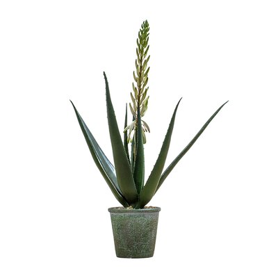 48cm Artificial Potted Asplenium Fern SO'HOME