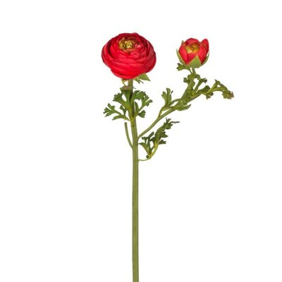 Tige de renoncule artificielle H56 SIA DECO