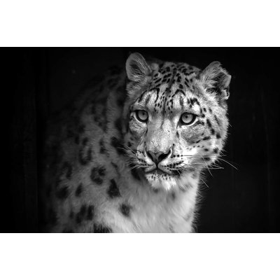 Tableau animaux le regard du léopard HEXOA