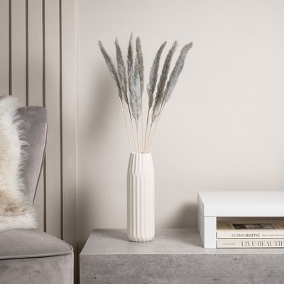 65-70cm Pampas Grass 11pc light Grey SO'HOME