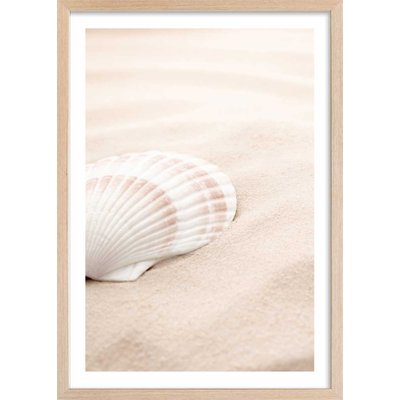 Poster coquillage HEXOA
