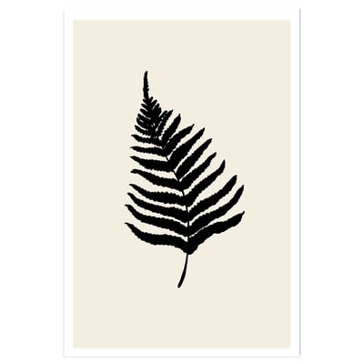 Affiche deco black fougères HEXOA