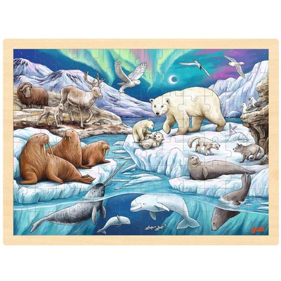 Puzzle Nuit polaire GOKI