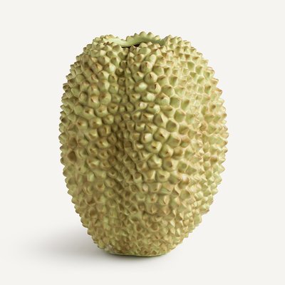 Durio Polyresin Vase AM.PM