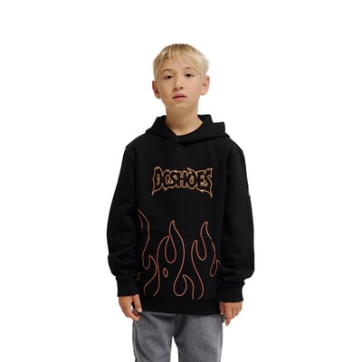 Sweat capuche. DC SHOES