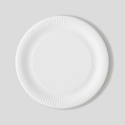 12 assiettes en carton, blanc, 29cm MONOPRIX MAISON