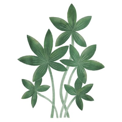 Stickers feuilles tropicales YATSUNI LILIPINSO