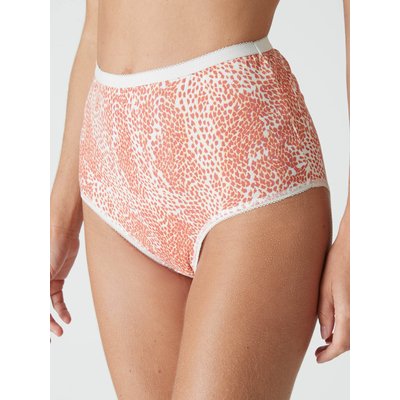 Lot de 4 culottes pur coton DAXON