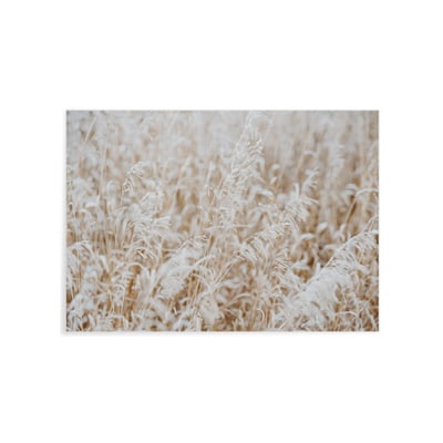 Poster Nature Winter 4 L'AFFICHERIE