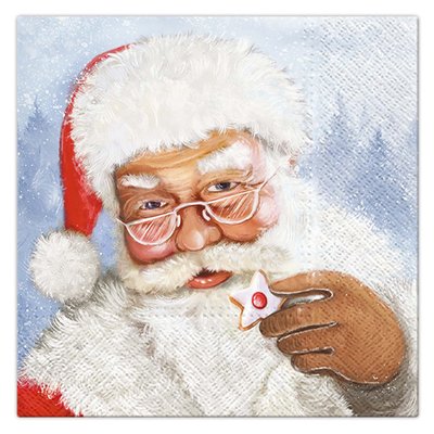Lot de 20 serviettes en papier Pere Noel et son gateau DOUCEUR D'INTÉRIEUR