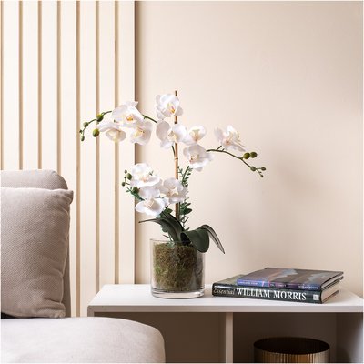 63cm Real Touch 3-Stem Orchid with Grass in Glass Pot SO'HOME