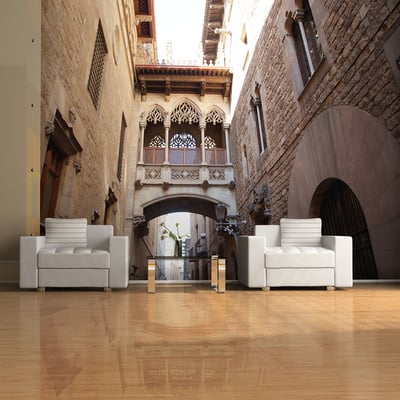 Papier peint intissé panoramique Ville et Architecture Barcelona Palau generalitat in gothic Barrio EDEN