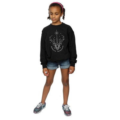 Sweat EXPECTO PATRONUM HARRY POTTER