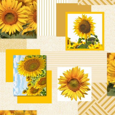 Nappe Toile cirée au mètre Tournesol DOUCEUR D'INTÉRIEUR