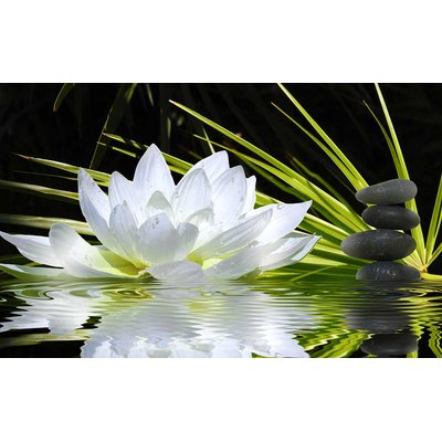 Tableau deco ambiance zen et fleur de lotus - 80x50 cm HEXOA